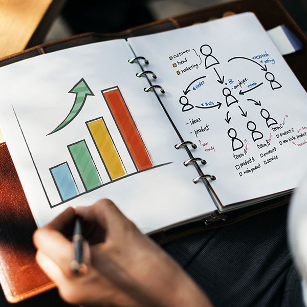 Customer and marketing support