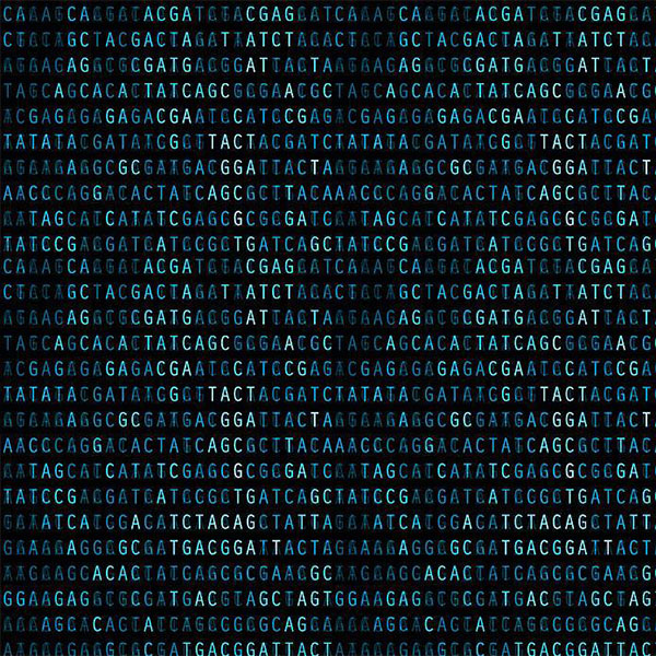 K-B0399 strain Identity validation and protection
