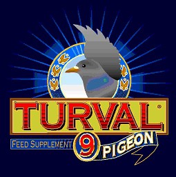 turval 9
