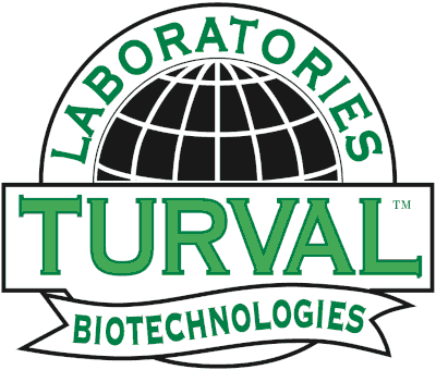 Turval Logo